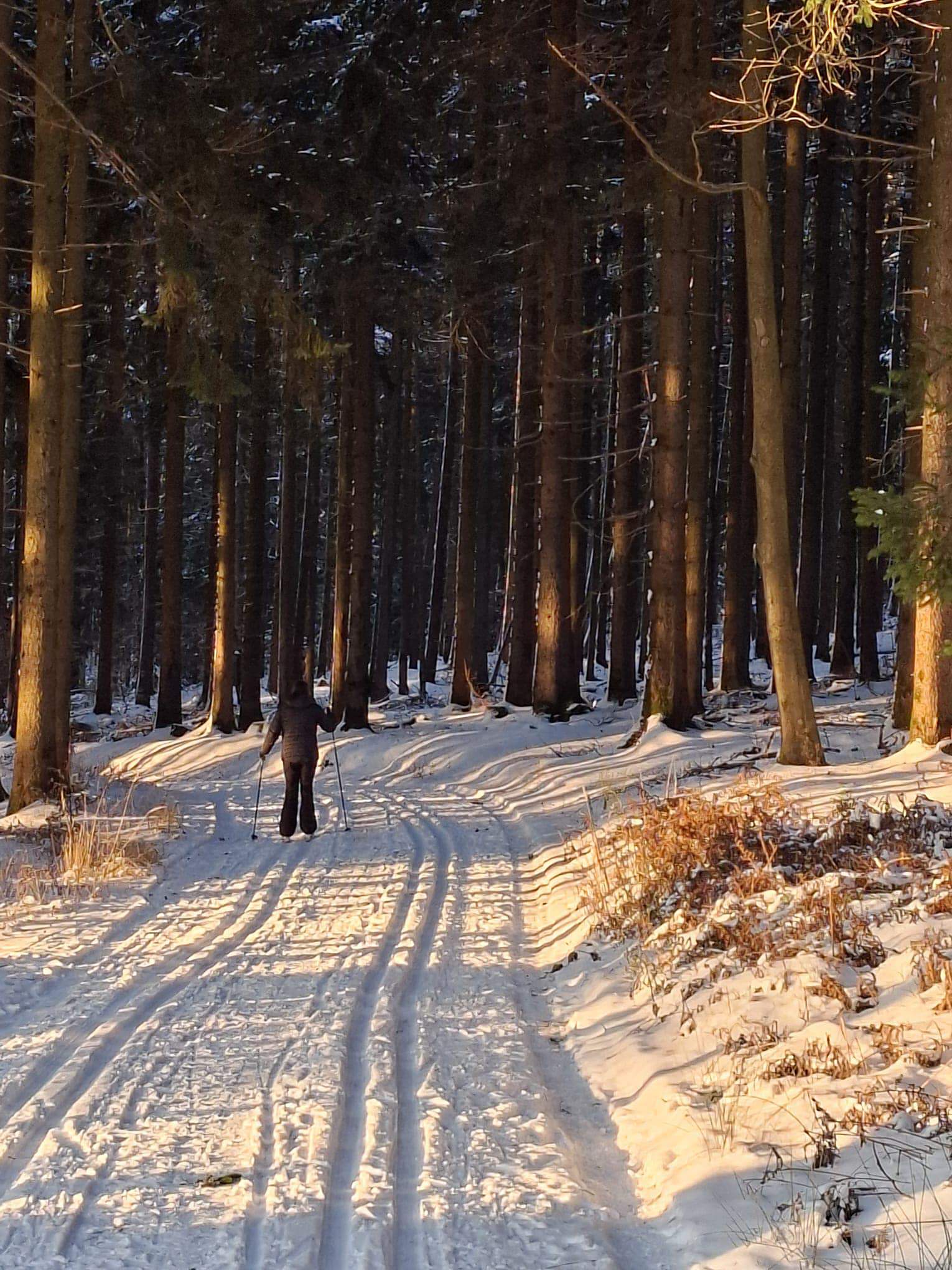 611653589_1406631874805977_167855555692047759_n