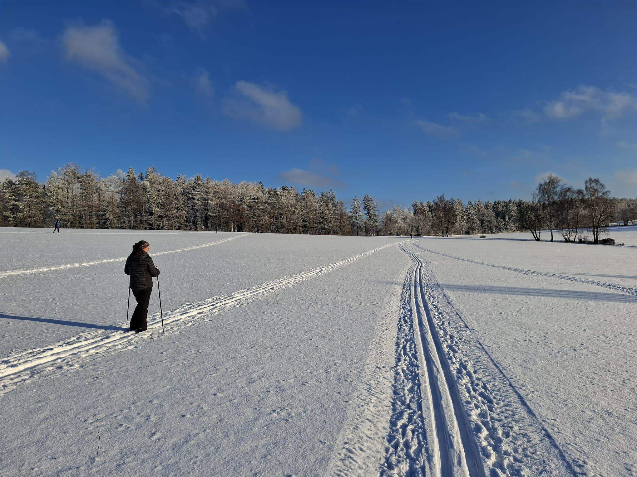 611771966_1406631968139301_6885623683493165214_n